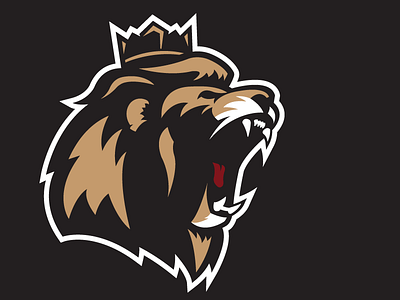 Lion Updates logo sports