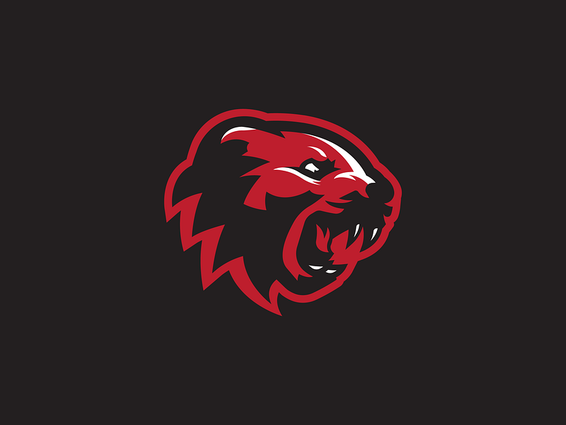 Cincinnati Bearcats Concept 3 by Sean McCarthy on Dribbble