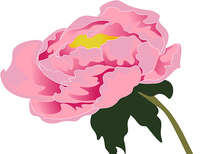 pion design flower illustration print spring vector