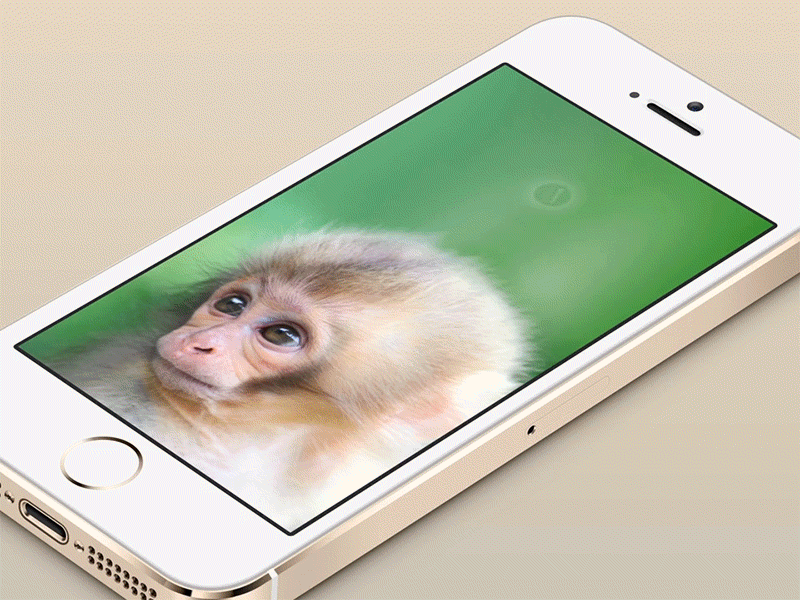 MonkeySphere App Demo animation app gif hackathon ios video