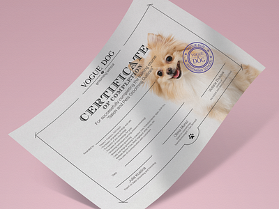 Certificate for VOGUE DOG brand identity branding design graphic design icon illustration logo vector