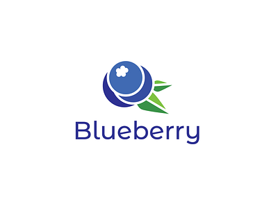 Blueberry logo brand identity branding design graphic design illustration logo vector