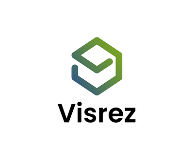 Visrez logo brand identity branding design graphic design logo vector