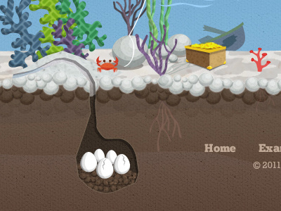 Design for a new project design eggs footer sea underwater water