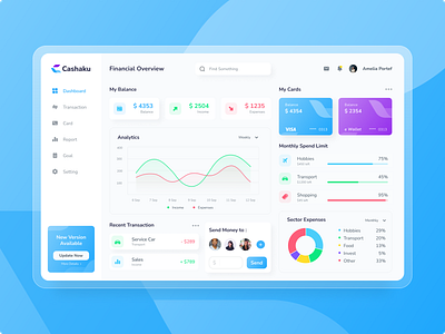 Cashaku Finance - Dashboard Exploration