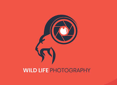 wild life photography logo5 01 branding design logo vector venu