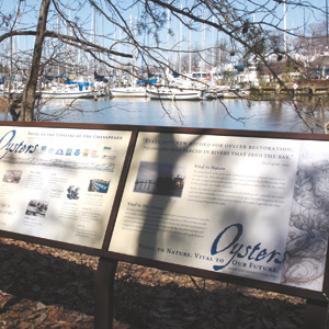 Outdoor Signage for the Oyster Recovery Partnership environmental oysters signage