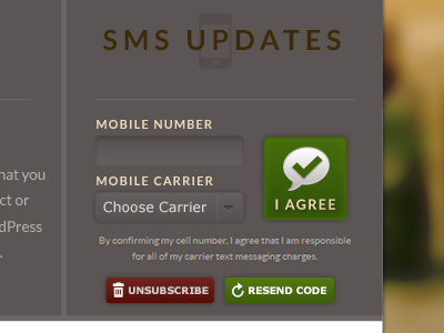 SMS signup buttons drew wilson icons input pavel maček pictos select sms submit ui webapp icons
