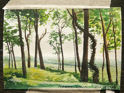 Watercolour Corbet Wood watercolour painting trees