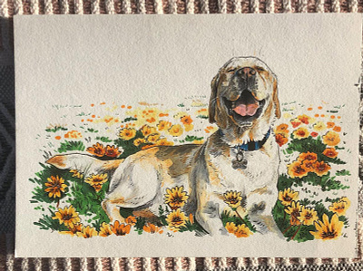 Nelson animal copic markers copicmarkers copics design dog illustration illustration labrador pet portrait