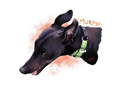 Murph animal animal art design dog art dog portrait illustration pet art pet portrait pet portrait artist photoshop art