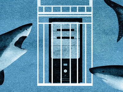 Security computer illustration security shark
