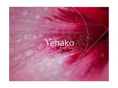 Yehako | Flower Shop abstract logo brand identity branding colorfull logo custom lettering lettermark logotype logotype designer logotypedesign modern logo