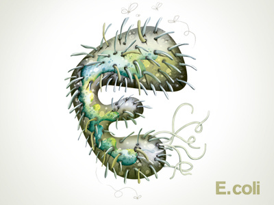E for E. coli bacteria bacterium design digital hand lettering illustration illustrator lettering science stinky type typography