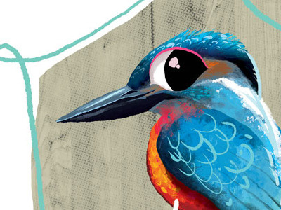 Halcyon Detail bird blue halcyon kingfisher myth red