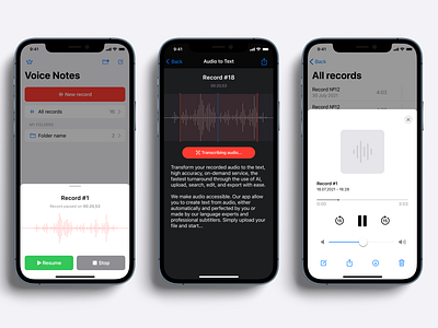 Voice Notes iOS app