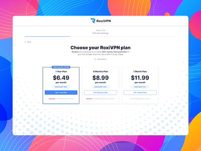 VPN Web Payment Page Design