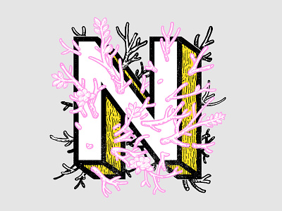 " N " alphabet font n typography xnhan00