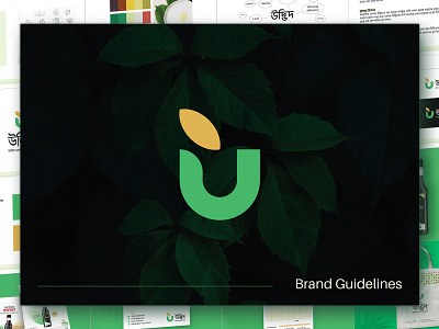 Organic Logo Brand Identity Guidelines company profile logo