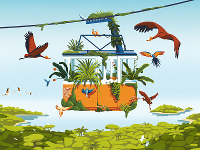 Birds meeting atmosphere birds botanic brazil cable car dribbbleweeklywarmup early morning forest garden island jungle landscape nature pain du sucre palms plants rio sky texture tropical