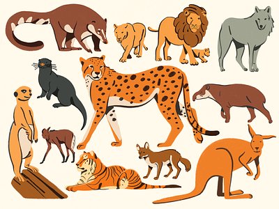 Wild Animals designs, themes, templates and downloadable graphic elements  on Dribbble