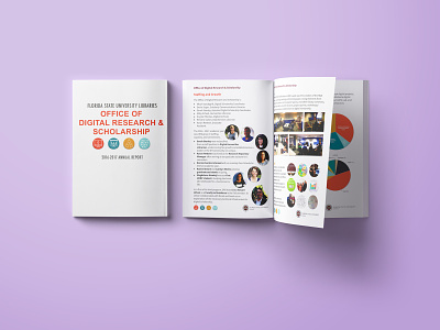 FSU DRS Annual Report purple branding rebrand template