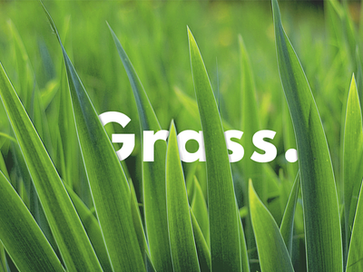 Grass. grass hidebehind layers text typography