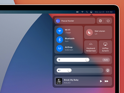 macOS Big Sur Control Center Concept