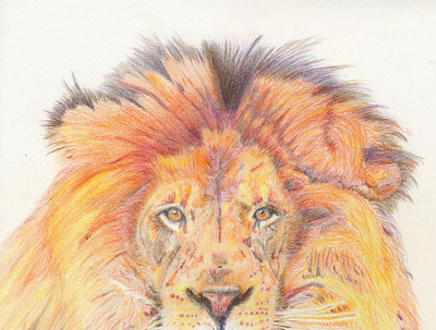 Wild Magic color creative draw drawing drawingart drawings geometric illustration lion lion king photoshop portrait portrait illustration