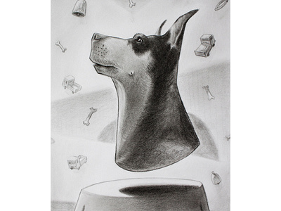 Dog portrait - pencil drawing