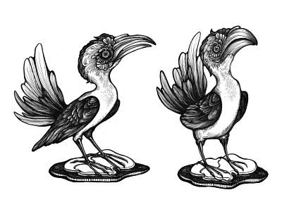 Hornbill character design illustration