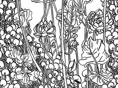 Illustration floral flower illustration line line art