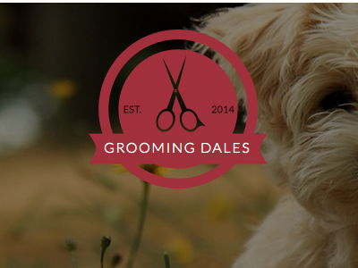 Grooming Dales Logo design dogs mockup sketch vector