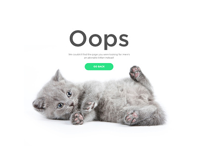 Daily UI #008 - 404 Page 404 animal cat clean cute daily kitten minimal page photography trend ui
