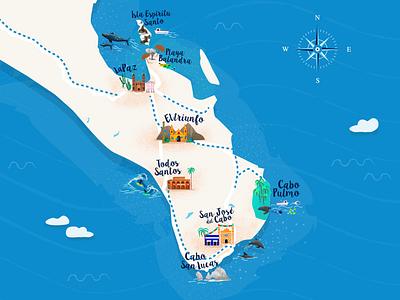 Baja California Map design illustration map mexico