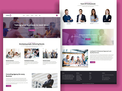 TemplateToaster Website Builder | Consult WordPress Theme