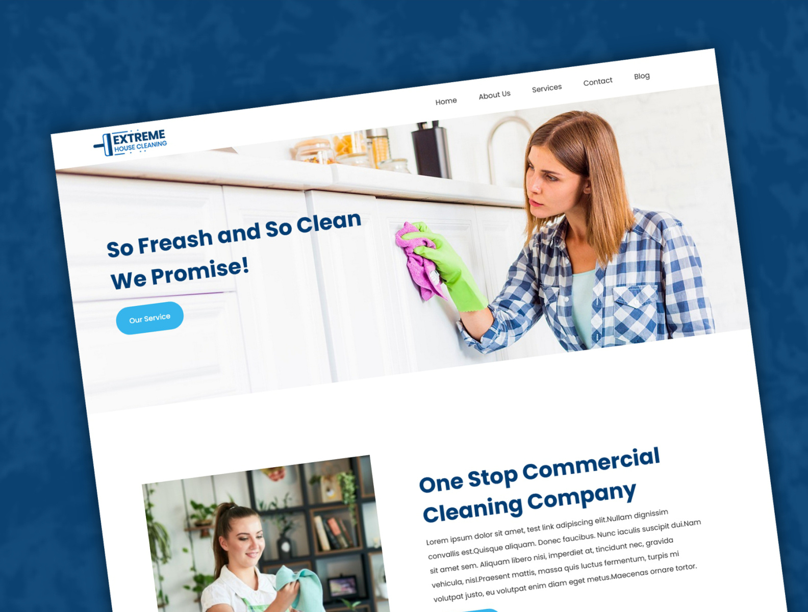TemplateToaster Extreme House Cleaning Company WordPress Theme by