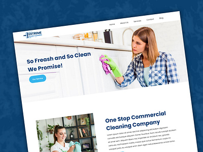 TemplateToaster - Extreme House Cleaning Company WordPress Theme