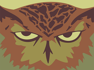 Superb Owl animal owl