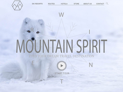 MountainSpirit design minimal ui ux