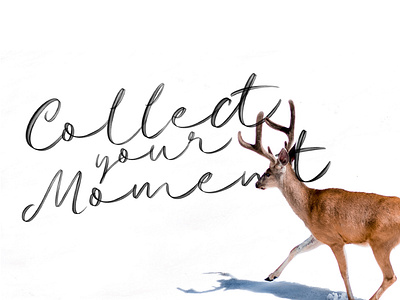 Moment - Tessla Script Font