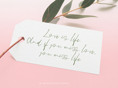 love is life animation app branding design illustration lettering logo typography web website