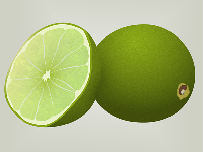 Limes editorial illustration lime vector