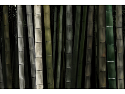 Bamboo Illustration