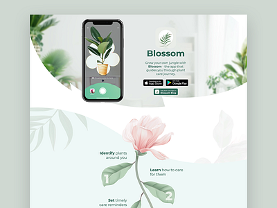 Landing page for Blossom app