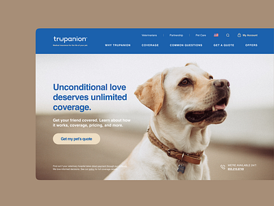 Trupanion animals design dog dogs homepage insurance labrador pet pet care product design ux ux ui uxui web website