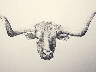 Longhorn animal art beast drawing hand drawn horns stippling