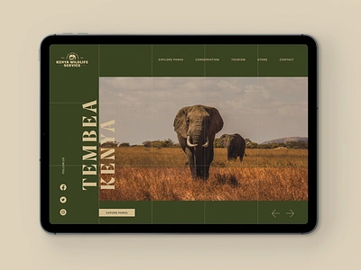 Kenya Wildlife Service Website adventure africa concept figma kenya safari typography ui ux web design website