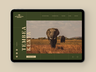 Kenya Wildlife Service Website adventure africa concept figma kenya safari typography ui ux web design website