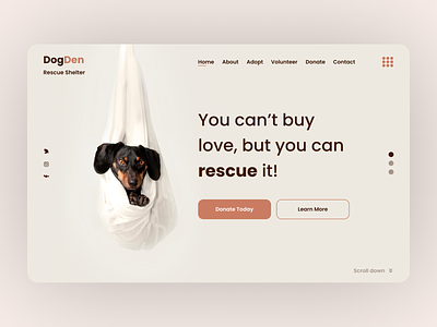 DogDen Dribble animals dog dogrescure interaction shelter ui uiux ux webdesign